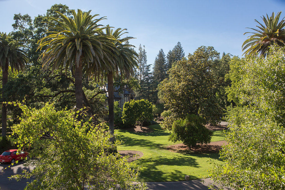 Alila Napa Valley, A Hyatt Resort St. Helena Dış mekan fotoğraf