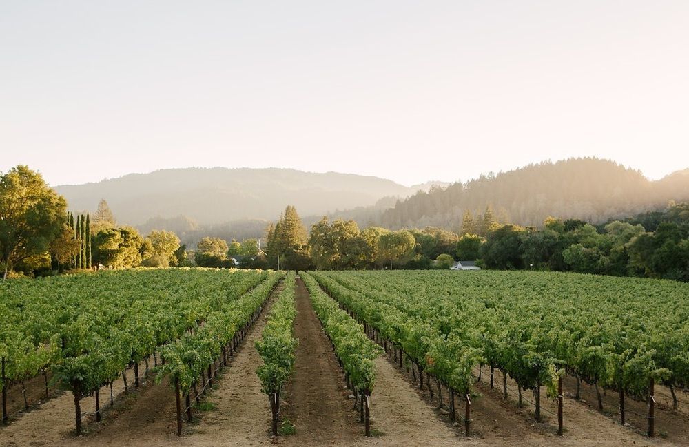 Alila Napa Valley, A Hyatt Resort St. Helena Dış mekan fotoğraf