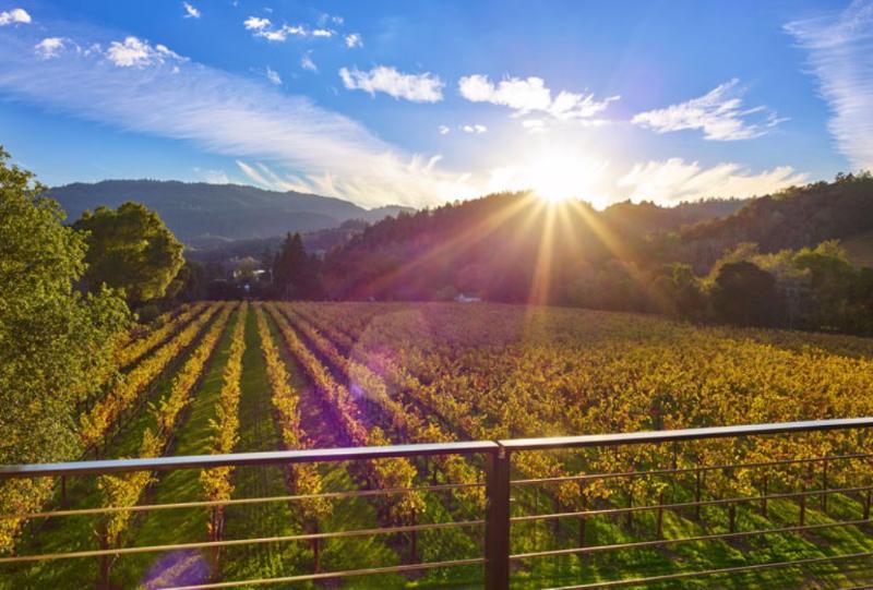 Alila Napa Valley, A Hyatt Resort St. Helena Dış mekan fotoğraf