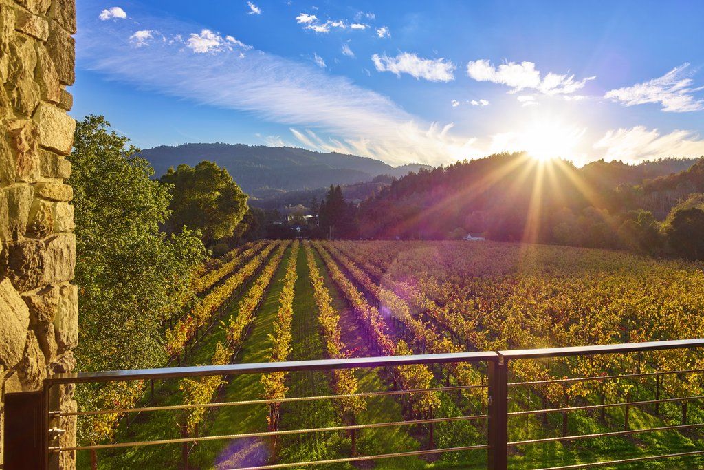 Alila Napa Valley, A Hyatt Resort St. Helena Dış mekan fotoğraf